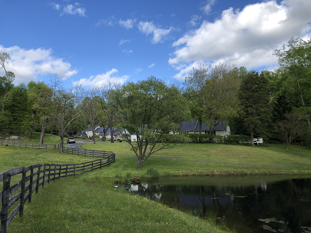 Thomas & Talbot Spring Hill